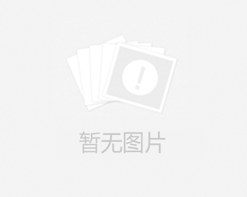 汽车电子服务范围