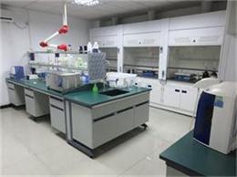 无机前处理室 (1).JPG